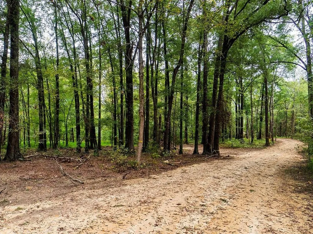 1630 Gerringer Mill Road Burlington, NC 27217
