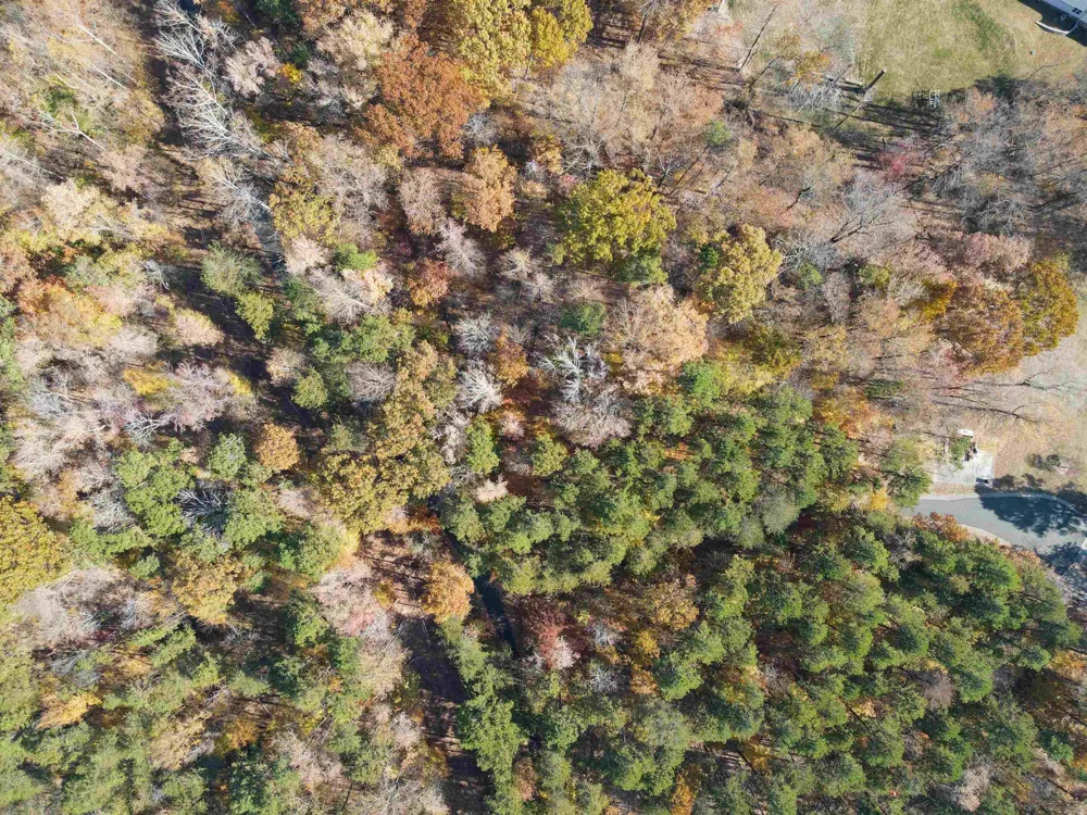 28 Greenway Drive Semora, NC 27343