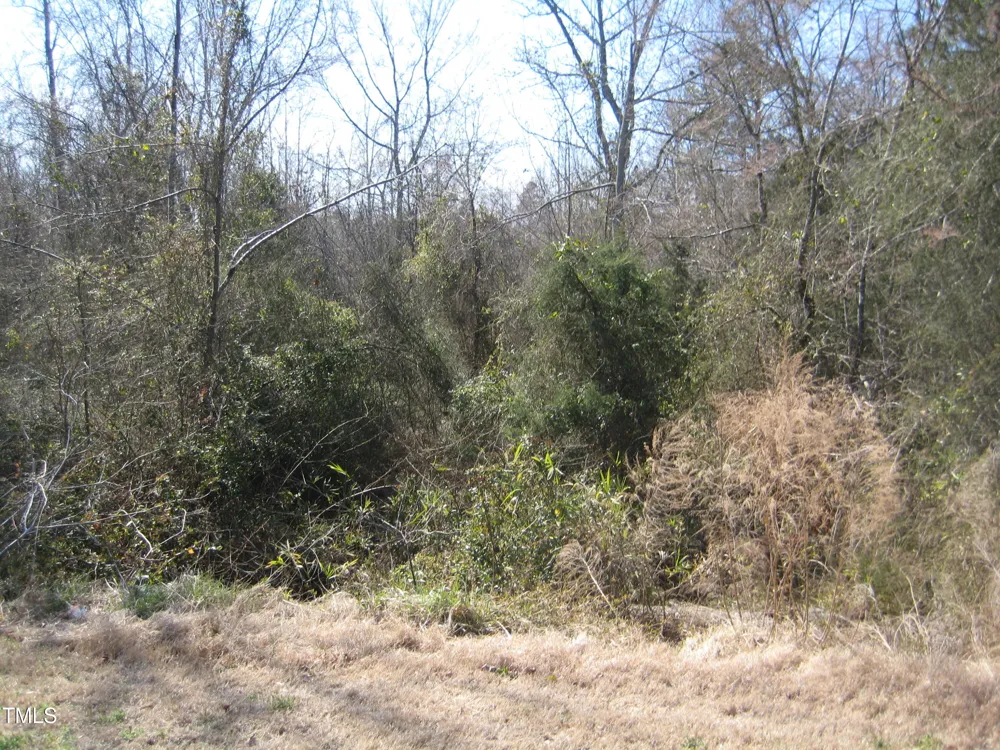 0 Us Hwy 1 Youngsville, NC 27596