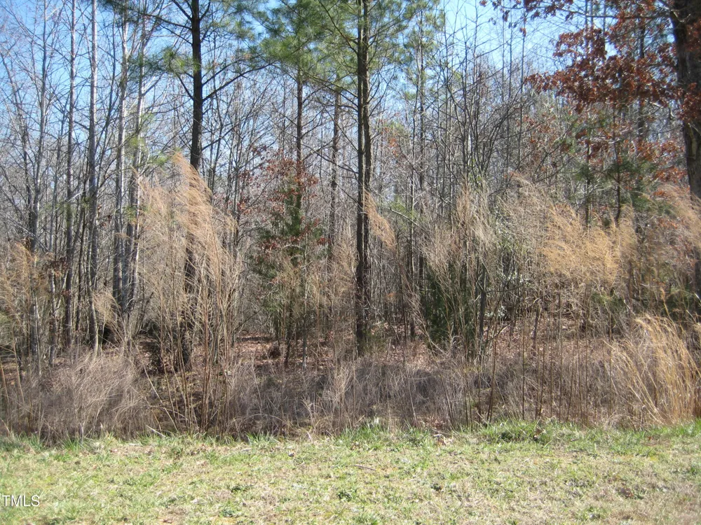 0 Us Hwy 1 Youngsville, NC 27596