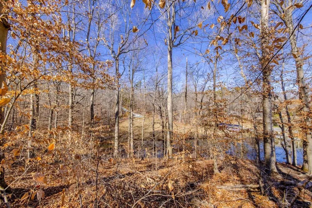 Lot #6 Deer Meadow Road Leasburg, NC 27291