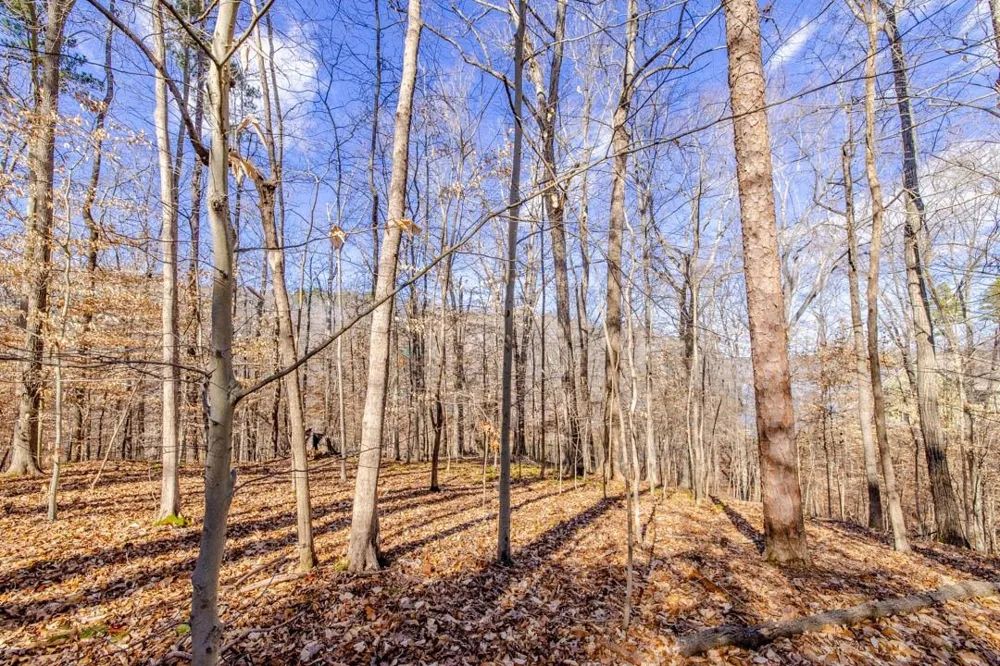 Lot #6 Deer Meadow Road Leasburg, NC 27291