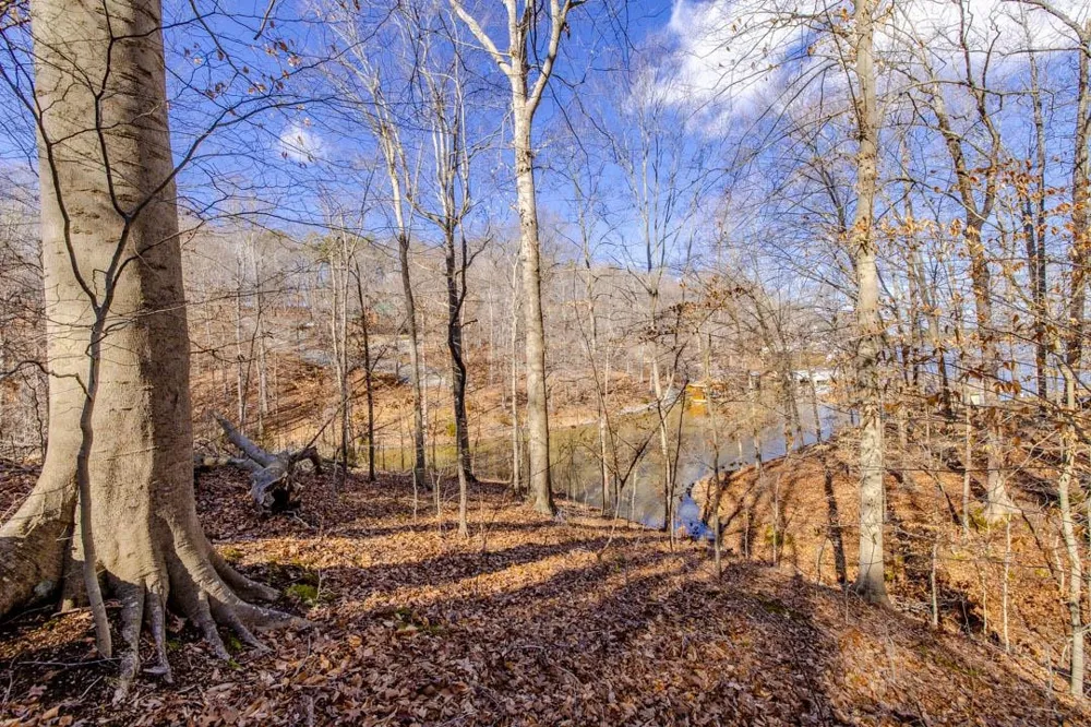 Lot #6 Deer Meadow Road Leasburg, NC 27291