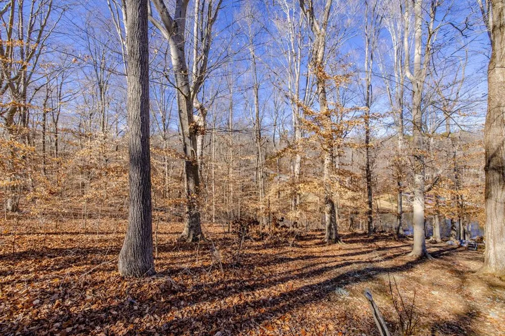 Lot #6 Deer Meadow Road Leasburg, NC 27291