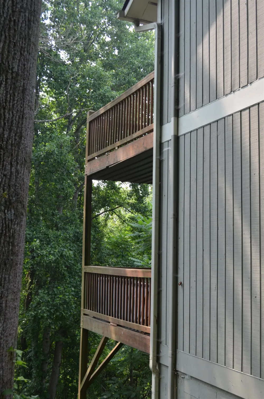 422 Windswept Drive #422 Asheville, NC 28801