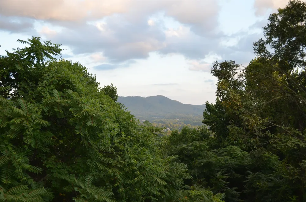 422 Windswept Drive #422 Asheville, NC 28801