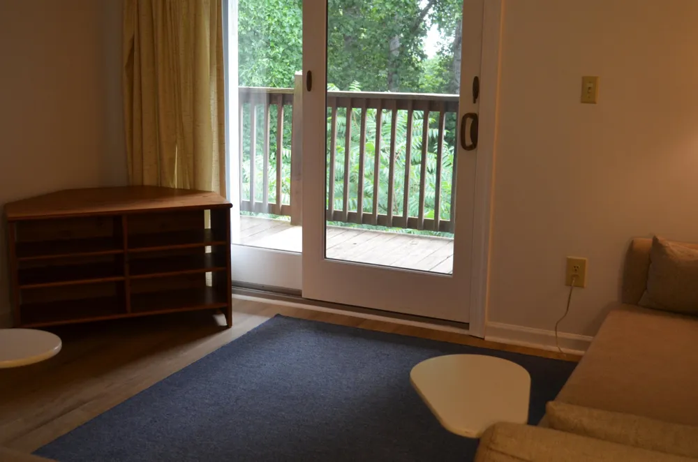 422 Windswept Drive #422 Asheville, NC 28801