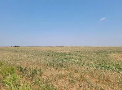 E FM 597 Abernathy, TX 79311