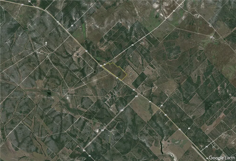 124 County Road 164 George West, TX 78022
