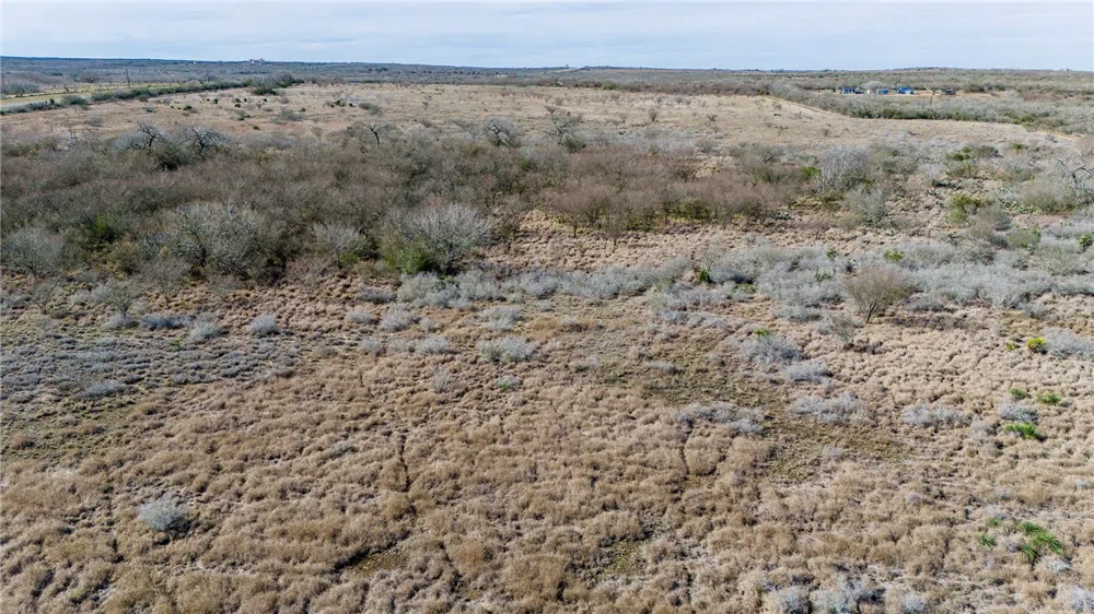 124 County Road 164 George West, TX 78022