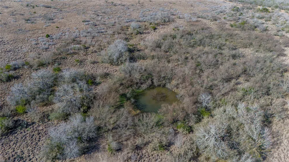 124 County Road 164 George West, TX 78022