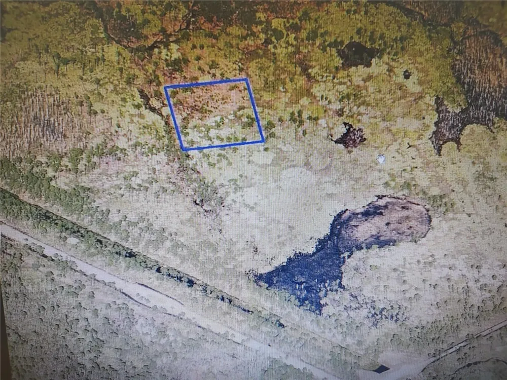 00 DEERING PARKWAY Mims, FL 32754