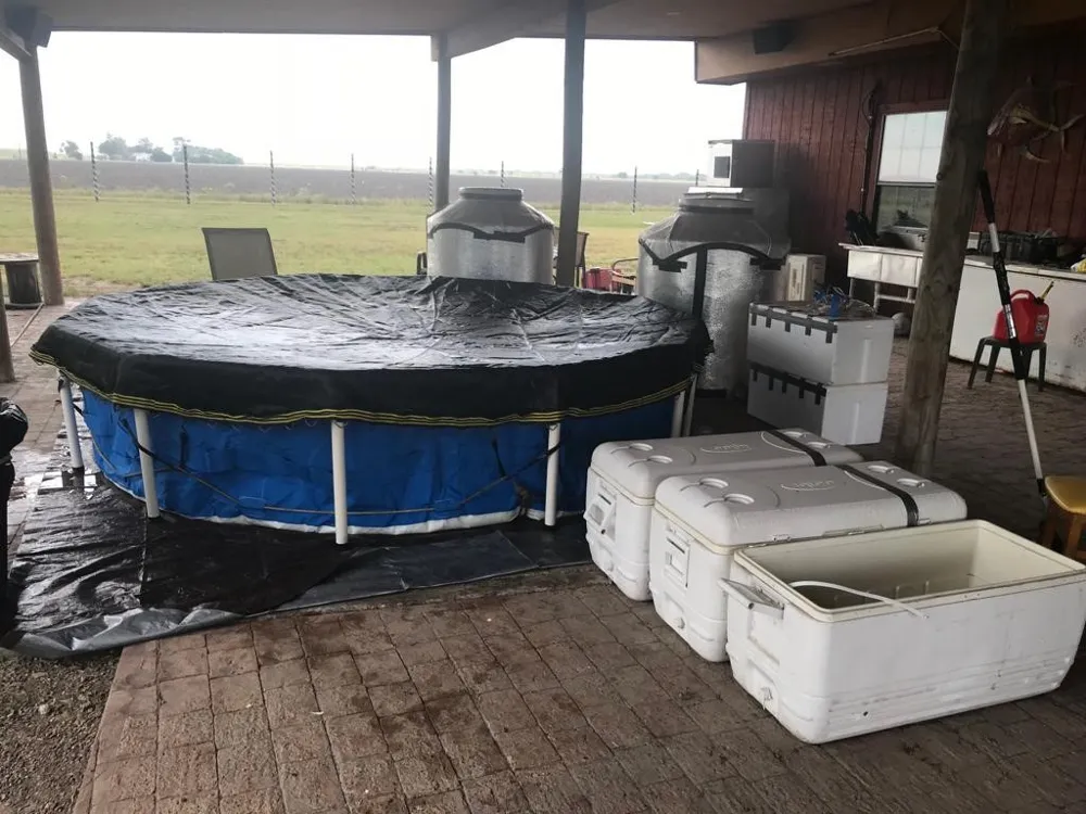 7979 Goyo Garcia Road Raymondville, TX 78580