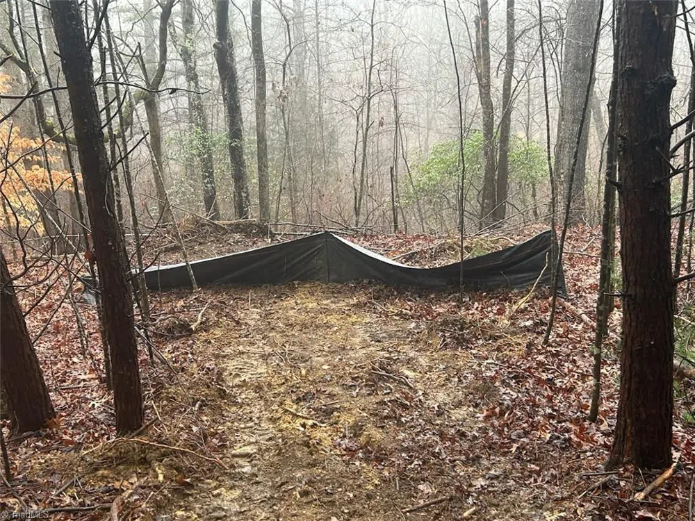 00 Whitaker Chapel Road #1 Pilot Mountain, NC 27041