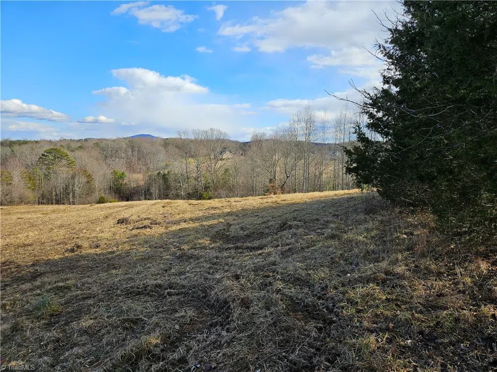 00 Whitaker Chapel Road #2 Pilot Mountain, NC 27041