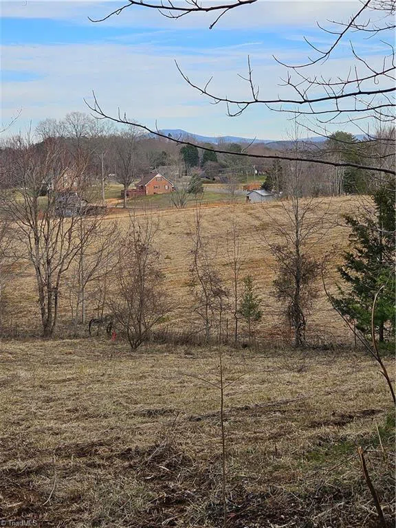 00 Whitaker Chapel Road #2 Pilot Mountain, NC 27041