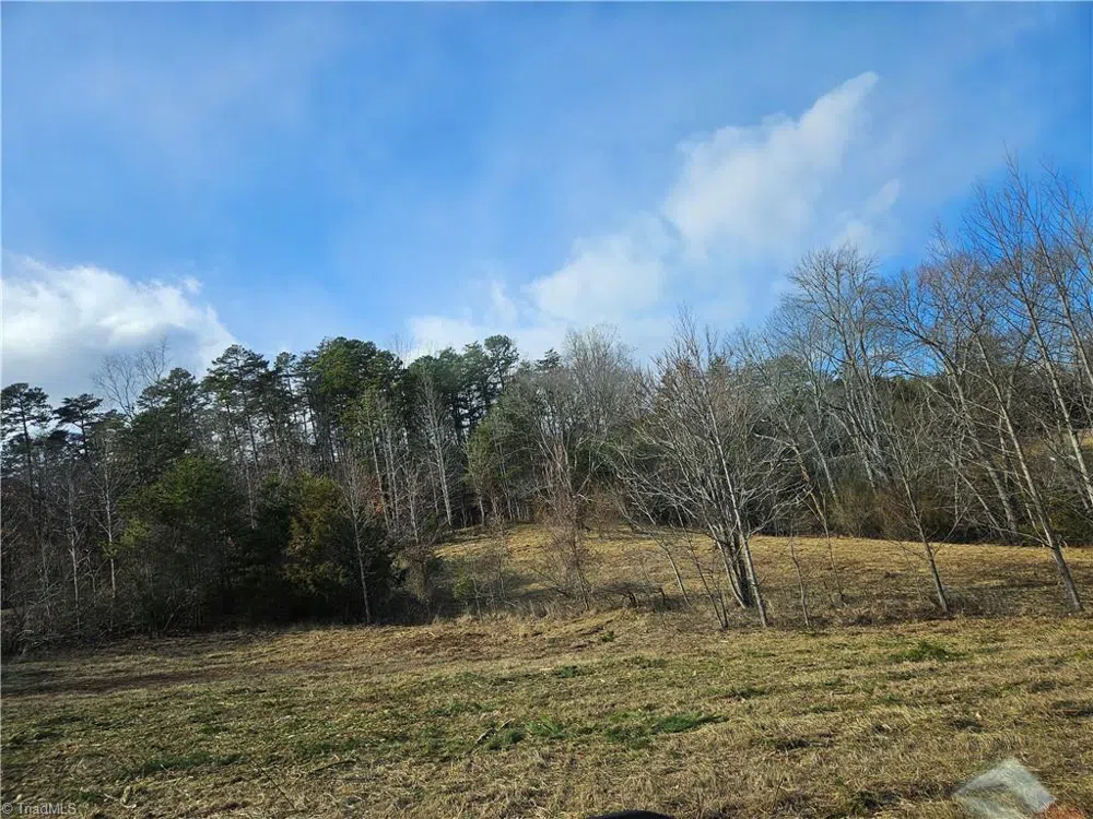 00 Whitaker Chapel Road #2 Pilot Mountain, NC 27041