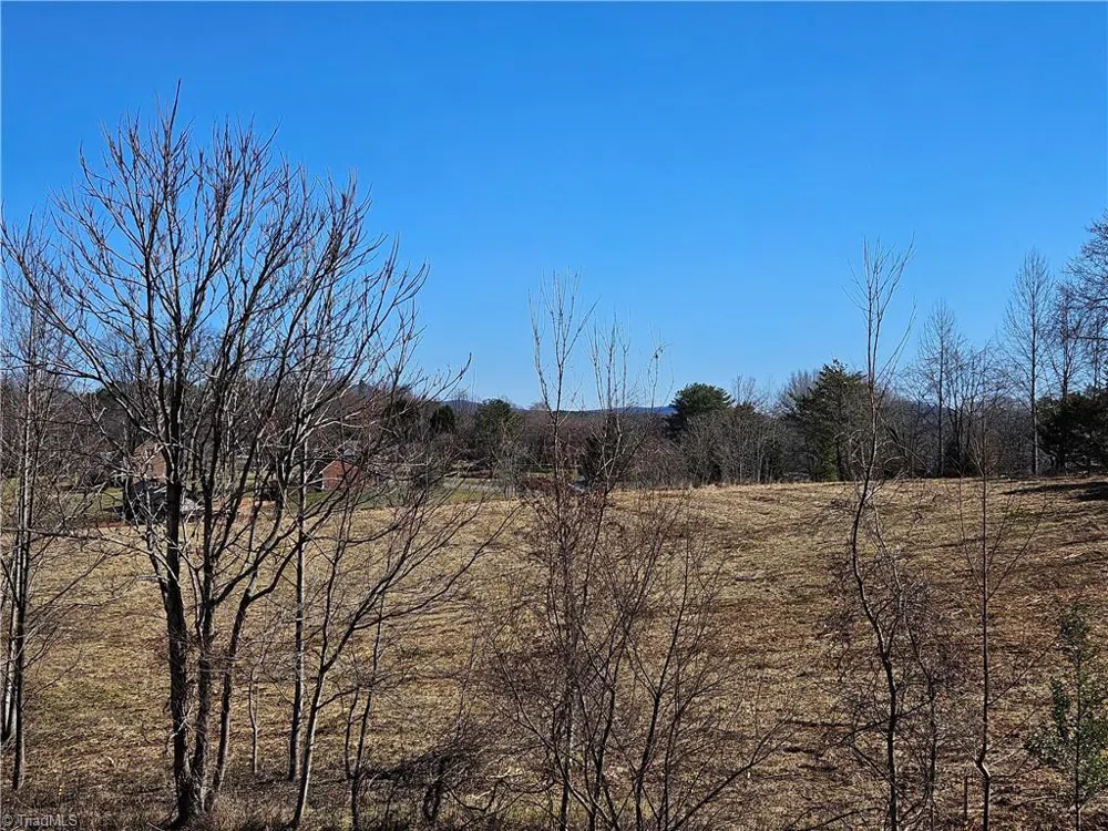00 Whitaker Chapel Road #2 Pilot Mountain, NC 27041