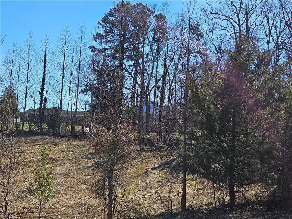 00 Whitaker Chapel Road #2 Pilot Mountain, NC 27041