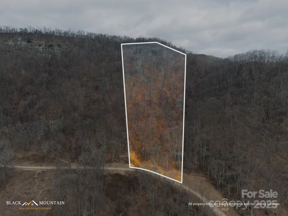 999 High Rock View Drive #36 Canton, NC 28716