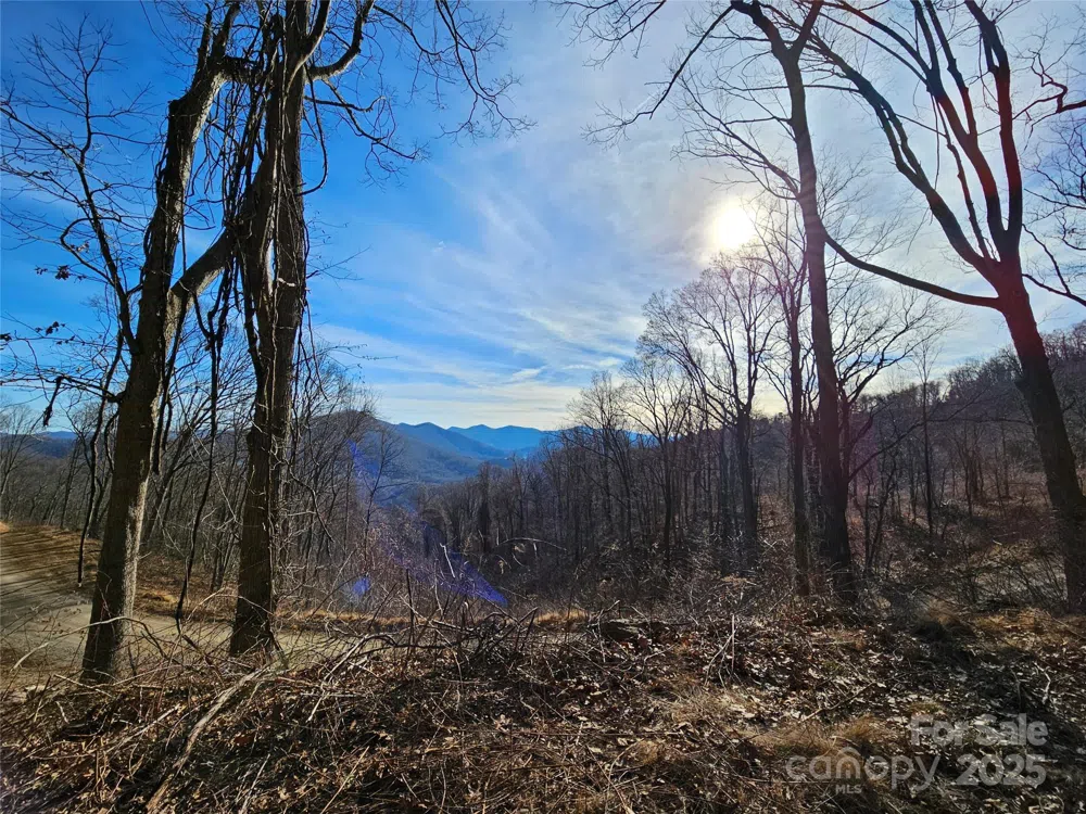999 High Rock View Drive #36 Canton, NC 28716