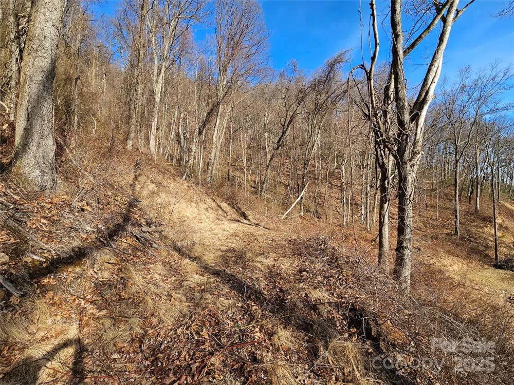 999 High Rock View Drive #36 Canton, NC 28716
