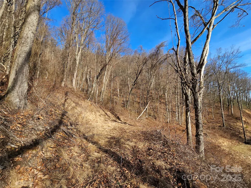 999 High Rock View Drive #36 Canton, NC 28716