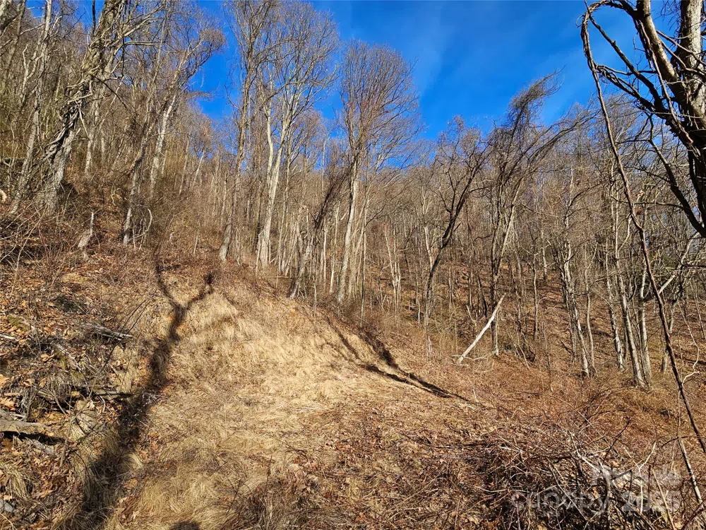 999 High Rock View Drive #36 Canton, NC 28716