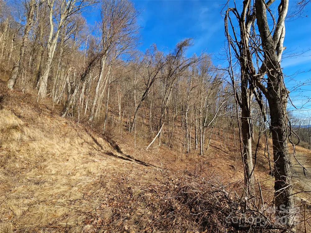 999 High Rock View Drive #36 Canton, NC 28716