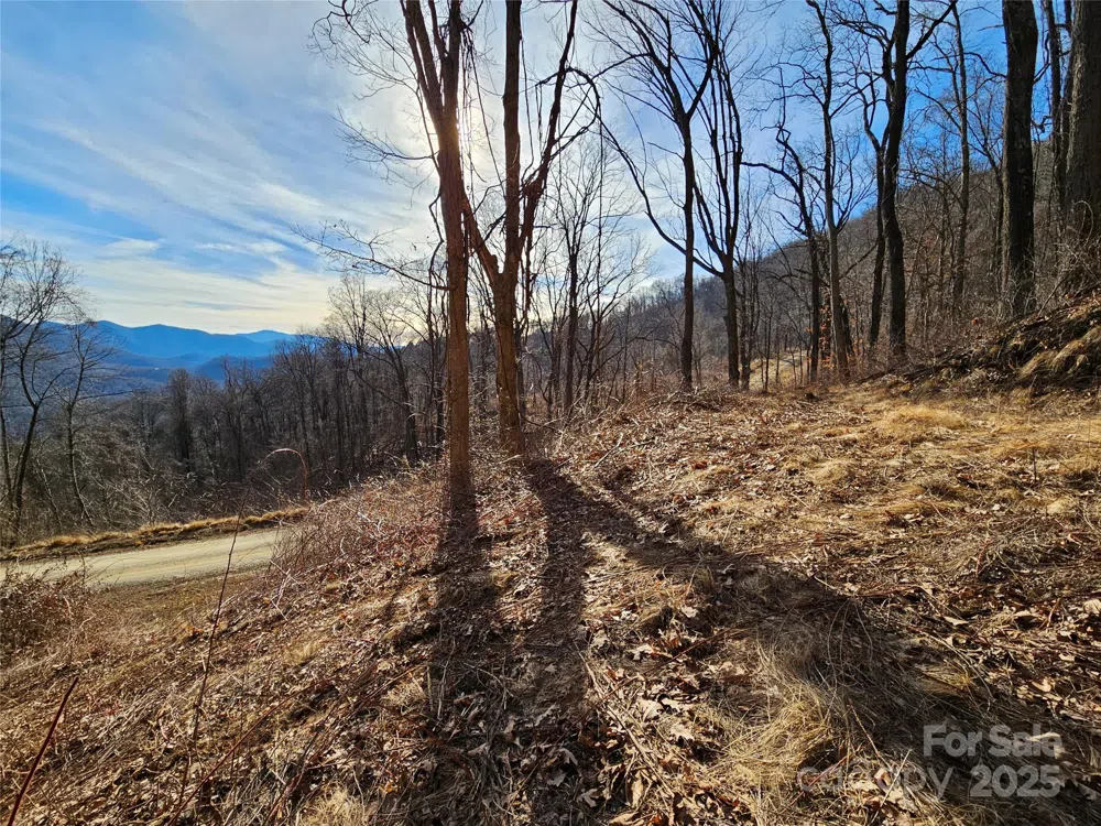 999 High Rock View Drive #36 Canton, NC 28716