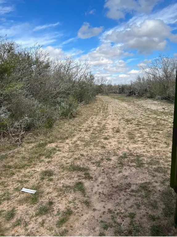 101 EL Toro RD Spur 12 San Diego, TX 78332