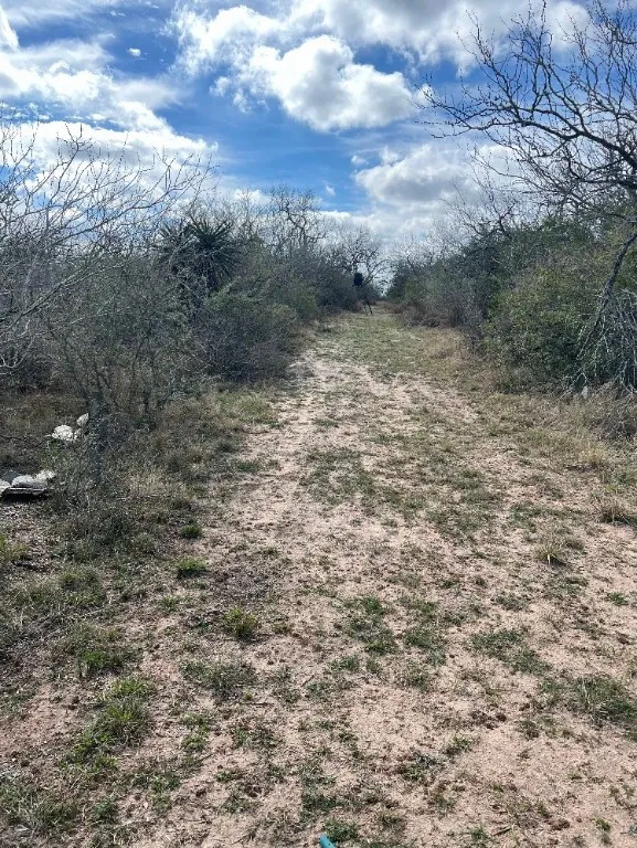 101 EL Toro RD Spur 12 San Diego, TX 78332
