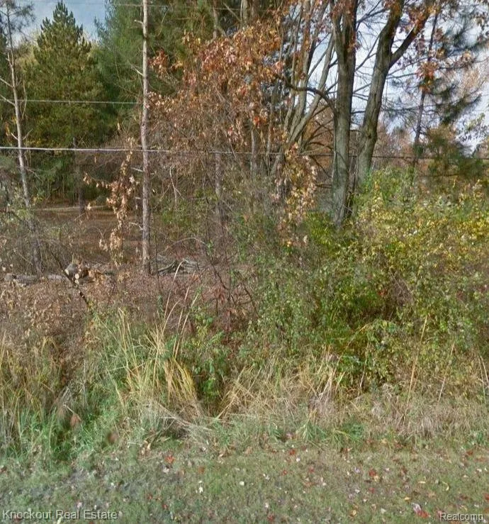 S GLEANER ROAD Swan Creek Township, MI 48609