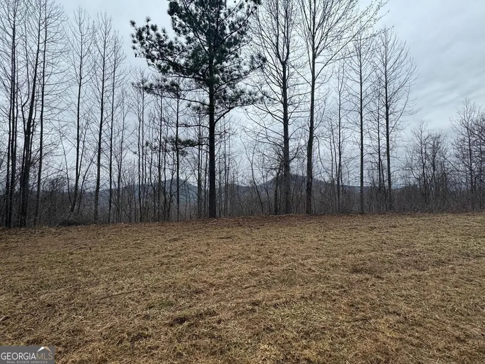 LOT 10 Chatuge Manor DR Young Harris, GA 30582