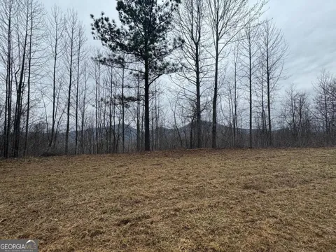 LOT 10 Chatuge Manor DR