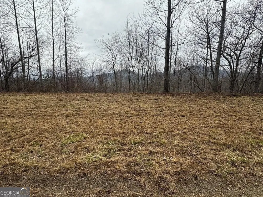 LOT 10 Chatuge Manor DR Young Harris, GA 30582
