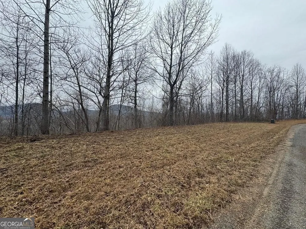 LOT 10 Chatuge Manor DR Young Harris, GA 30582