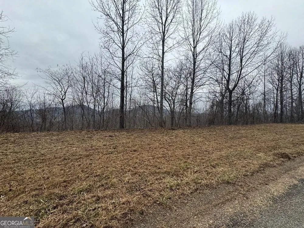 LOT 10 Chatuge Manor DR Young Harris, GA 30582