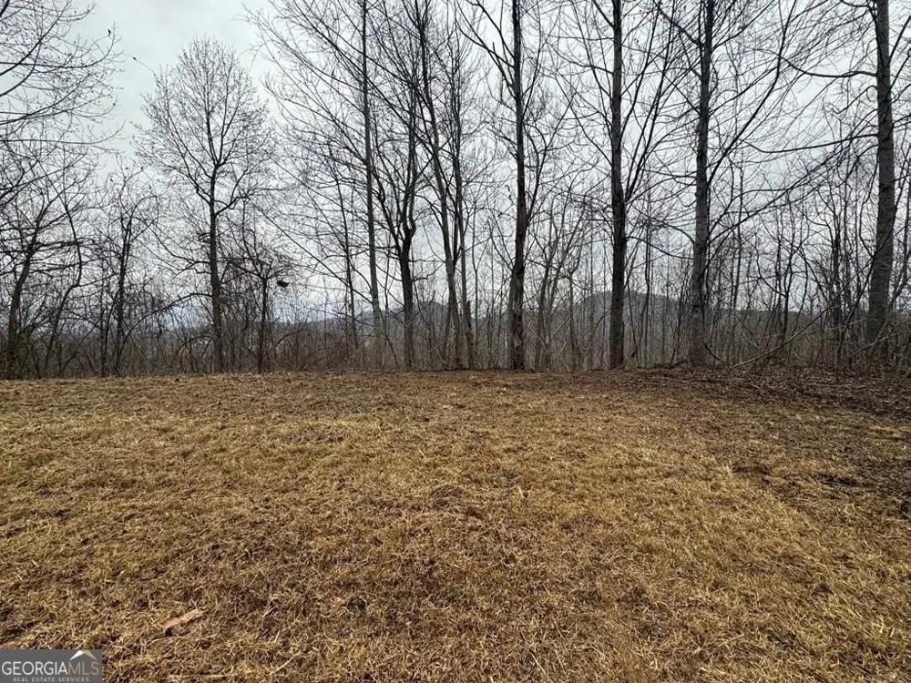 LOT 10 Chatuge Manor DR Young Harris, GA 30582