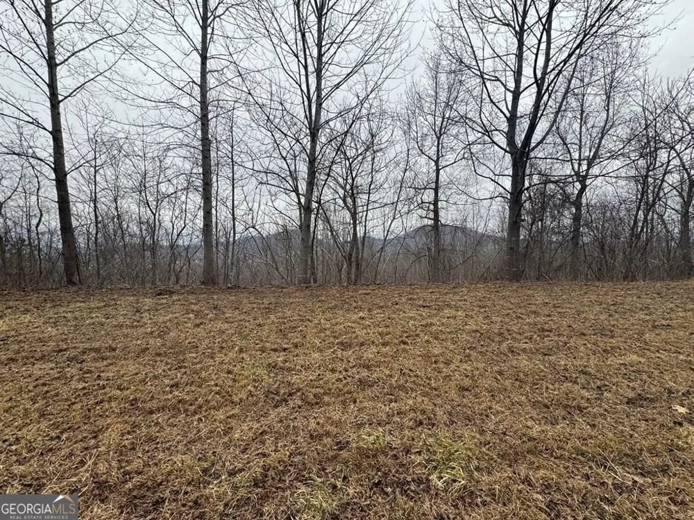 LOT 10 Chatuge Manor DR Young Harris, GA 30582