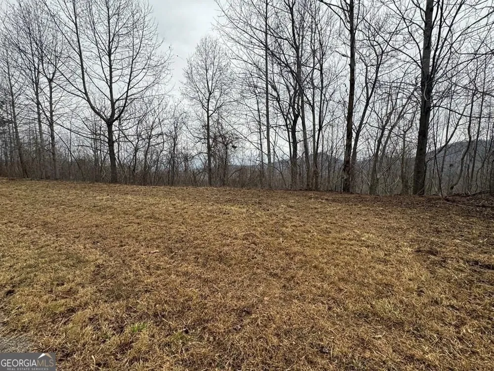 LOT 10 Chatuge Manor DR Young Harris, GA 30582