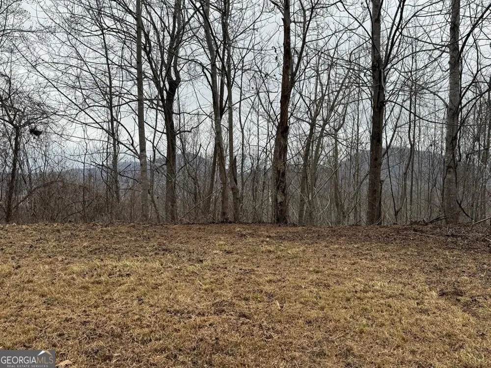 LOT 10 Chatuge Manor DR Young Harris, GA 30582
