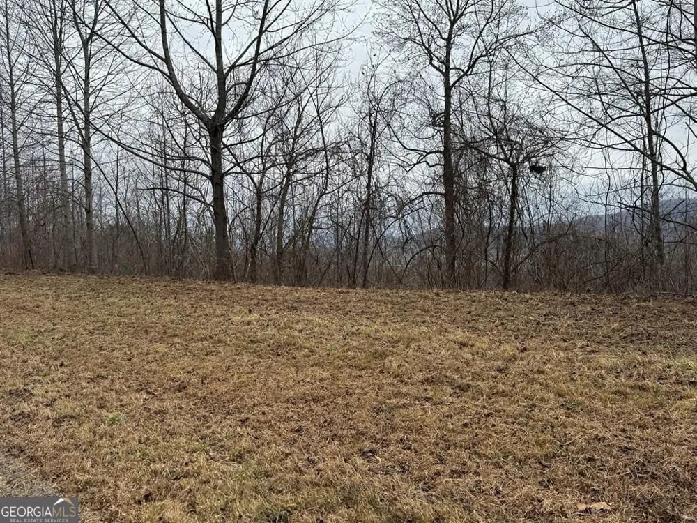 LOT 10 Chatuge Manor DR Young Harris, GA 30582