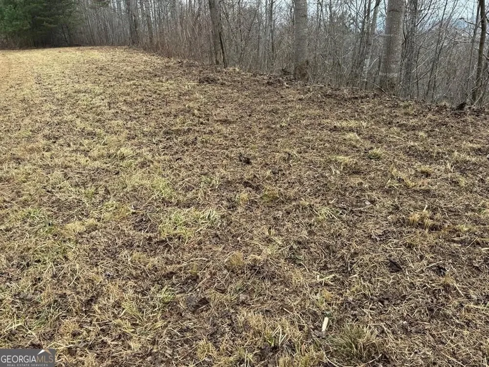 LOT 10 Chatuge Manor DR Young Harris, GA 30582