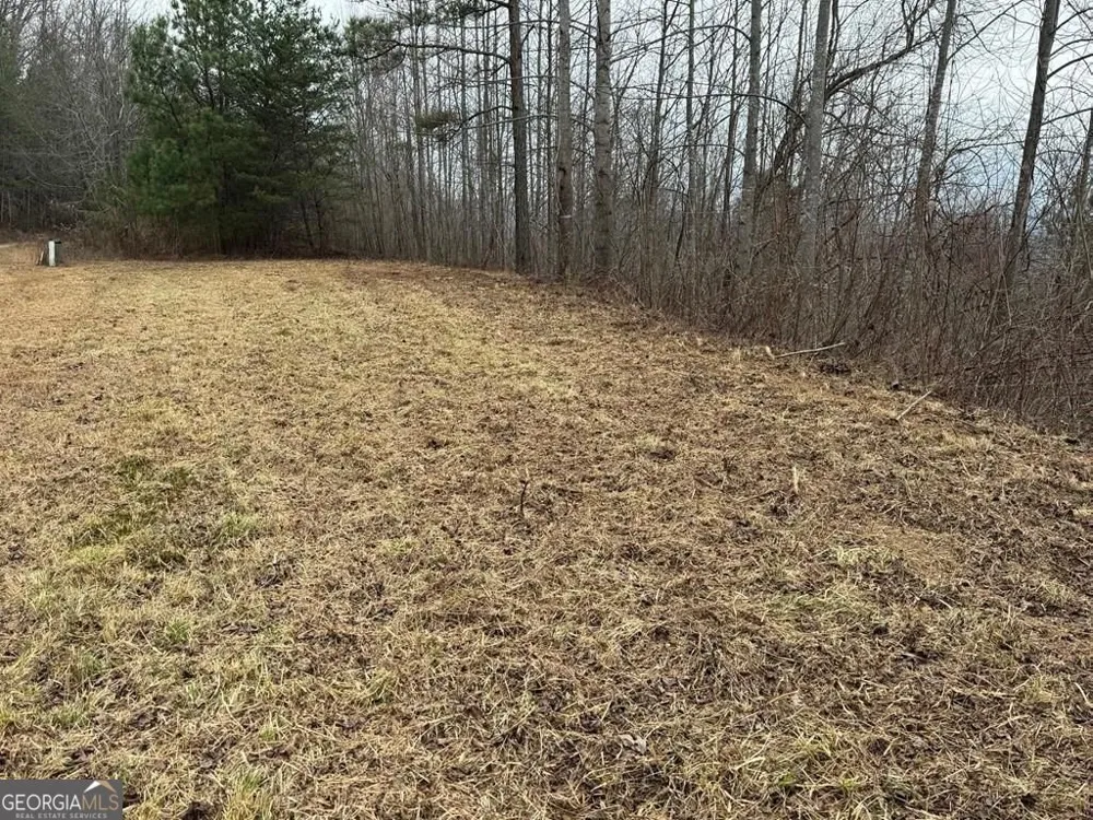 LOT 10 Chatuge Manor DR Young Harris, GA 30582