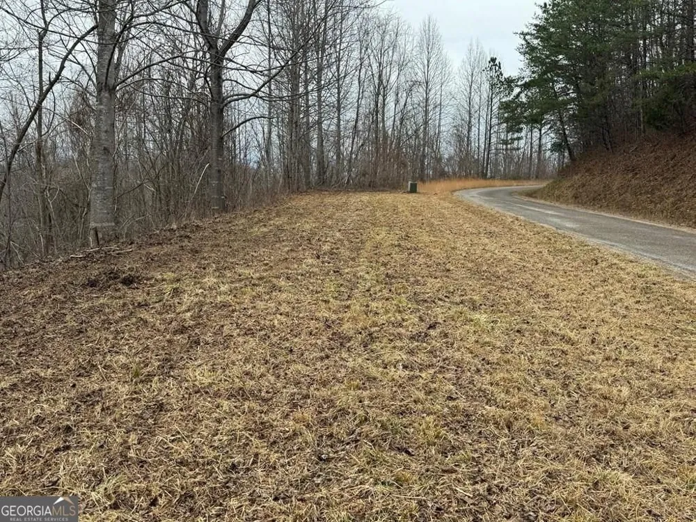 LOT 10 Chatuge Manor DR Young Harris, GA 30582