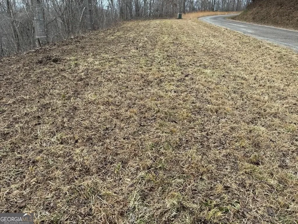 LOT 10 Chatuge Manor DR Young Harris, GA 30582