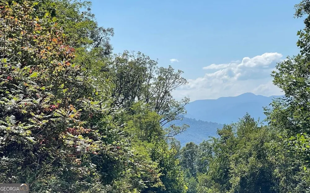 LOT 14 Mountain Harbour Hayesville, NC 28904