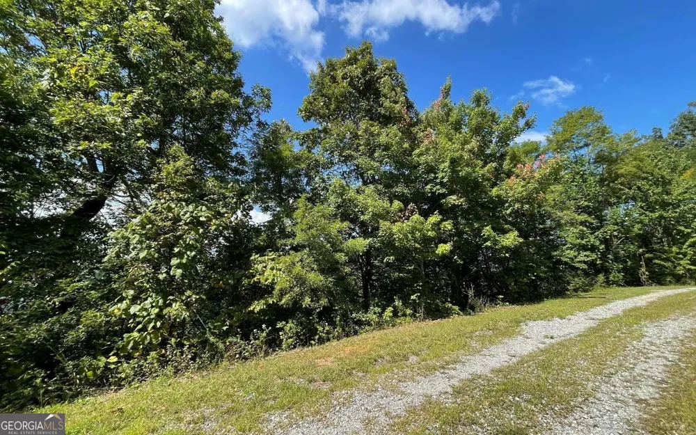 LOT 14 Mountain Harbour Hayesville, NC 28904