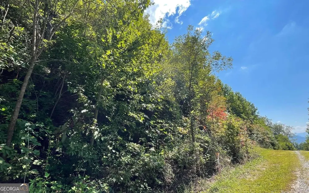 LOT 14 Mountain Harbour Hayesville, NC 28904